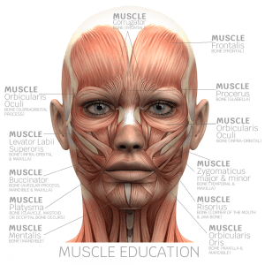 Muscle Education for Microcurrent